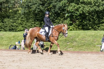 Bild 31 - Pony Akademie Turnier